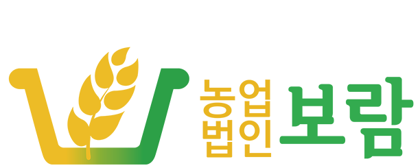 보람로고